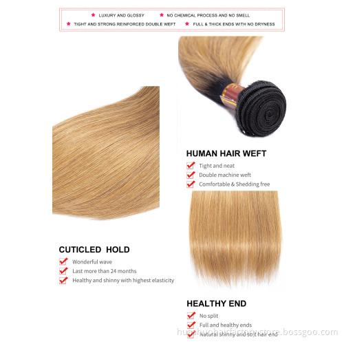 Single Donor 1B 27 Color 10A Cuticle Aligned Raw Indian Unprocessed Virgin Temple Human Bone Straight Hair